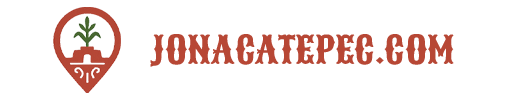 jonacatepec.com